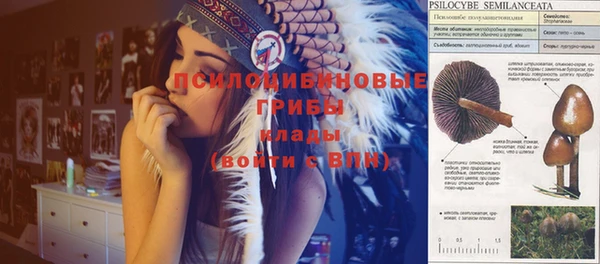 трава Балабаново