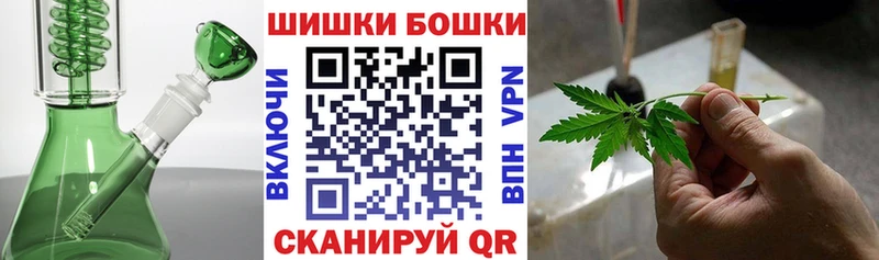 Купить где  Суровикино  Конопля ГИДРОПОН 